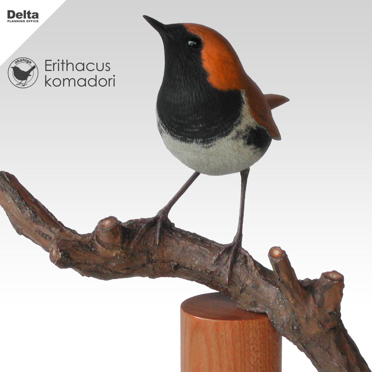 アカヒゲ Erithacus komadori　野鳥フィギュア